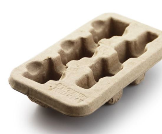 Screen Shot 2021-08-13 at 11.12.51 AM