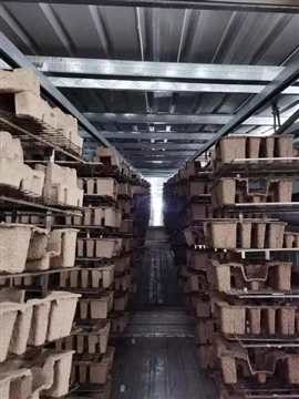 Ogmante Kapasite Kaka Moule: Eksplike Upgrade Etablisman Georgia-$91M Pasifik la