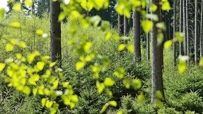 Konpayi Devlopman Inovasyon Hesheng defann dirabilite nan yon fatra plastik -...